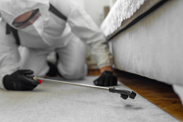 Professional Bed Bug Control technician working in Bushland, TX
