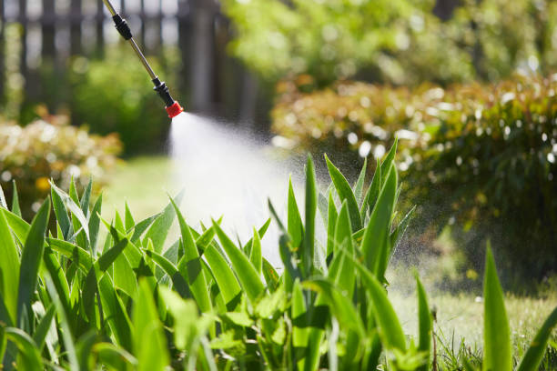 24/7 Emergency Bed Bug Control experts in Bushland, TX