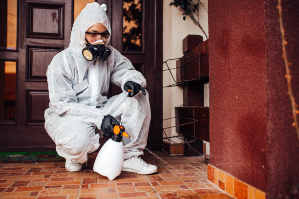 Reliable Bed Bug Control contractor in Bushland, TX by Nex Pest Control