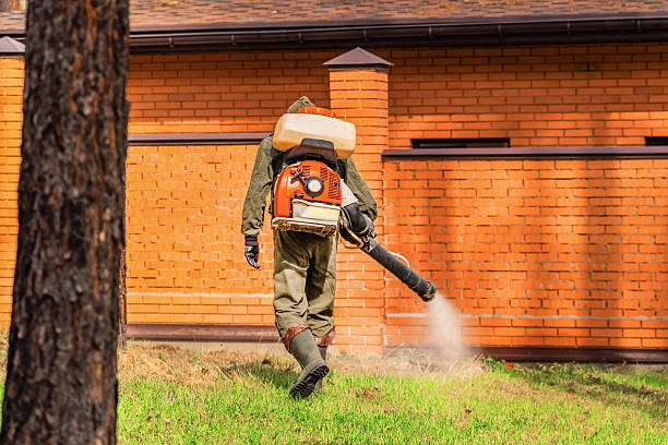 Top rated local Bed Bug Control specialists in Bushland, TX